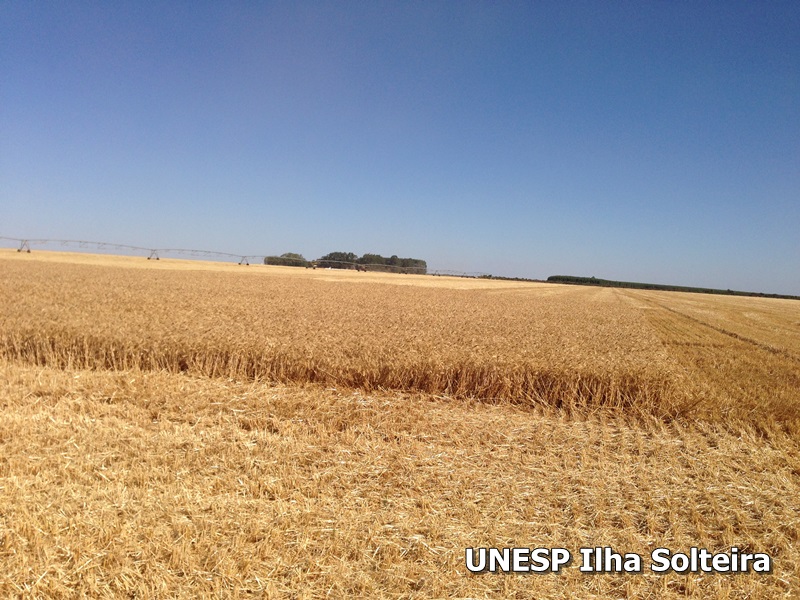 conird_2014 (32).JPG